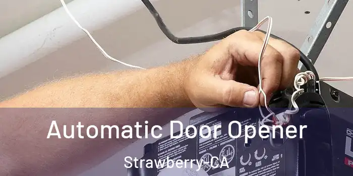  Automatic Door Opener Strawberry-CA