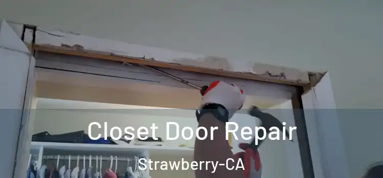 Closet Door Repair Strawberry-CA