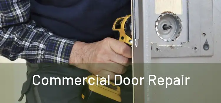 Commercial Door Repair