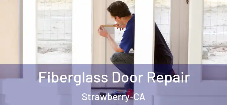  Fiberglass Door Repair Strawberry-CA