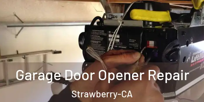 Garage Door Opener Repair Strawberry-CA