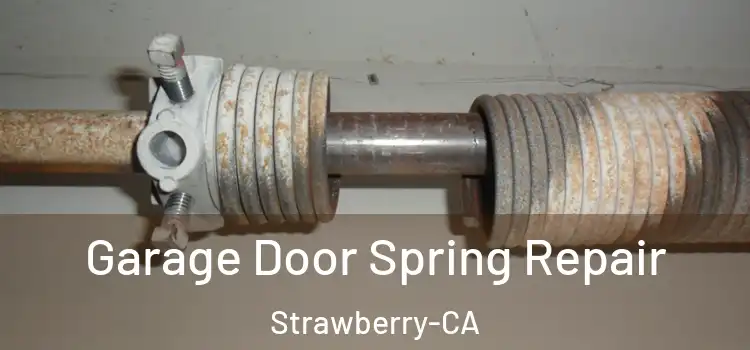 Garage Door Spring Repair Strawberry-CA