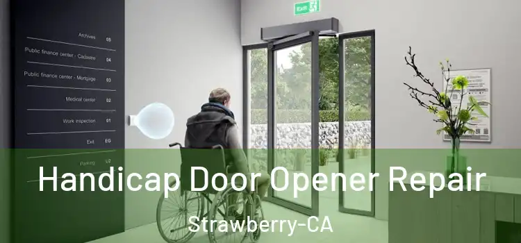 Handicap Door Opener Repair Strawberry-CA