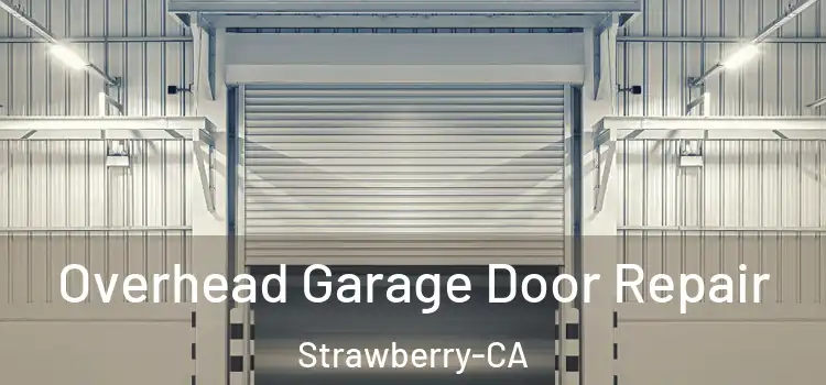 Overhead Garage Door Repair Strawberry-CA