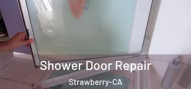 Shower Door Repair Strawberry-CA